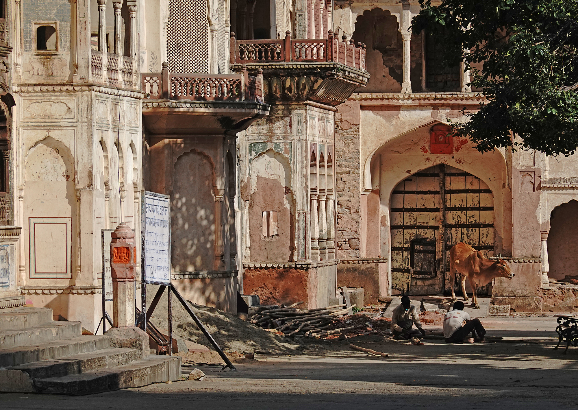 Christoph Radke, India, Jaipur, Monkey Temple, 2022